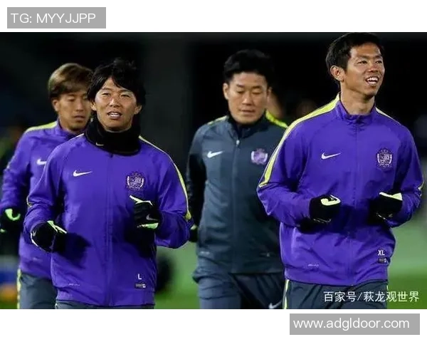 南京排球队战术之争引发热议球迷与专家各抒己见