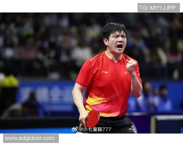 赛后复盘：深圳乒乓球队与南京乒乓球队速度对决的精彩分析与启示