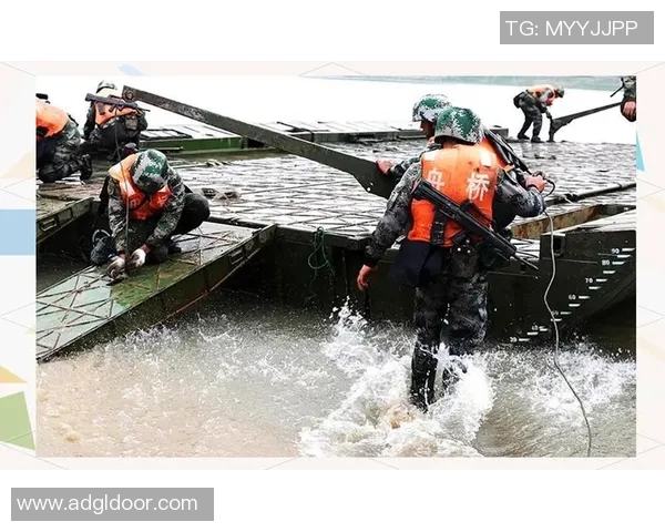 武汉排球队逆袭之路揭秘城市联赛背后的奋斗与荣耀